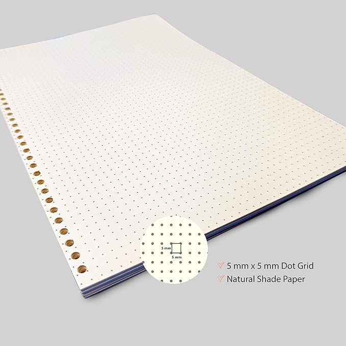 A5 Punched Loose Leaf Dot Grid Sheet/Paper | 80 GSM | 100 Sheets | (21 x 14.5 cm)