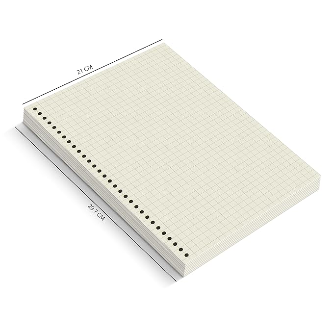A4 Punched Loose Leaf Square Grid Sheets/Grid Paper | 100 GSM | 100 Sheets