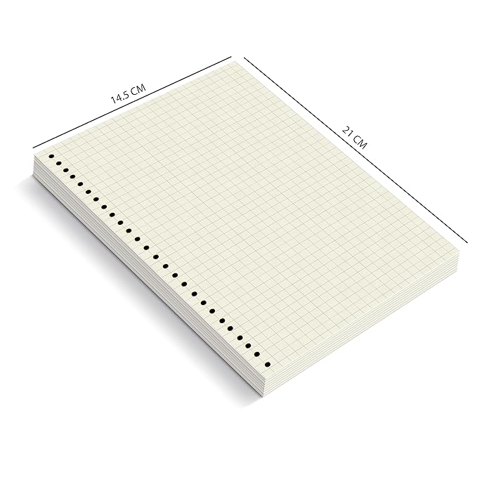 A5 Punched Loose Leaf Square Grid Sheet/Grid Paper | 80 GSM | 100 Sheets | A5 (21 x 14.5 cm)