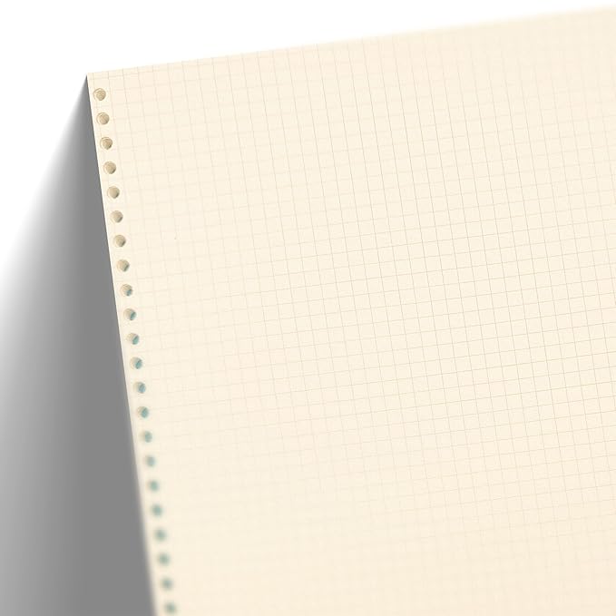 A4 Punched Loose Leaf Square Grid Sheets/Grid Paper | 100 GSM | 100 Sheets