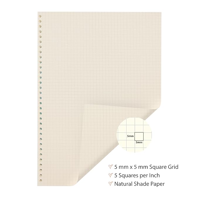 A4 Punched Loose Leaf Square Grid Sheets/Grid Paper | 100 GSM | 100 Sheets