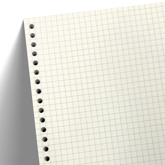 A5 Punched Loose Leaf Square Grid Sheet/Grid Paper | 80 GSM | 100 Sheets | A5 (21 x 14.5 cm)