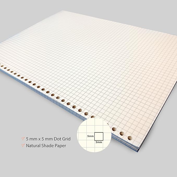 A5 Punched Loose Leaf Square Grid Sheet/Grid Paper | 80 GSM | 100 Sheets | A5 (21 x 14.5 cm)