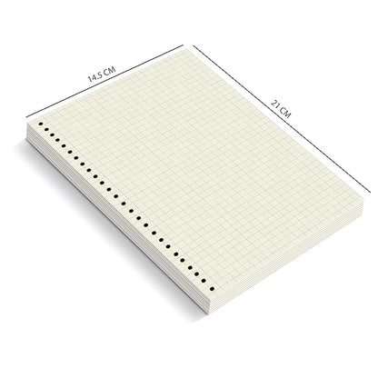 A5 Punched Loose Leaf Square Grid Sheet/Grid Paper | 80 GSM | 100 Sheets | A5 (21 x 14.5 cm)