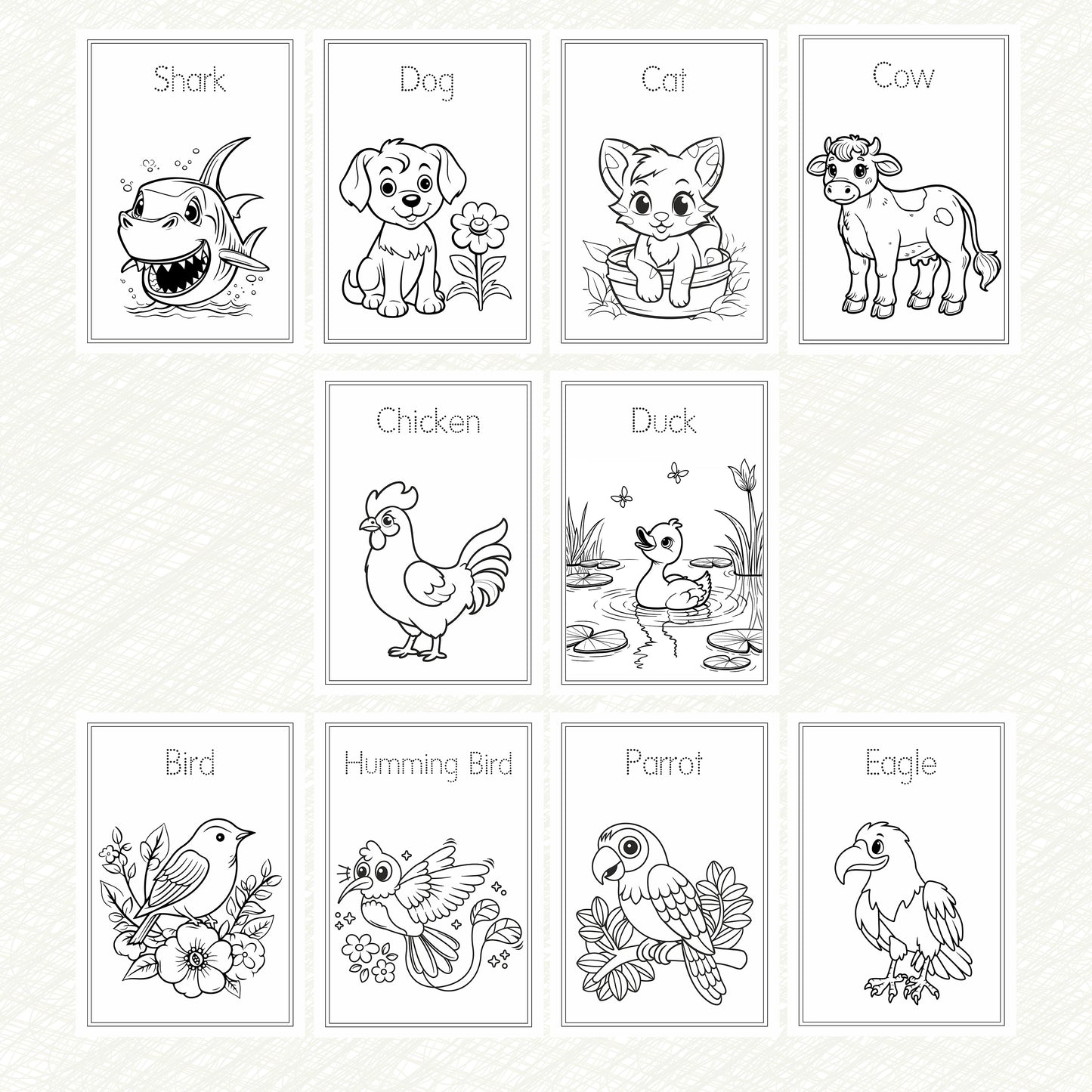 Kids Colouring Paper | 20 Animals & Birds-Themed Sheets
