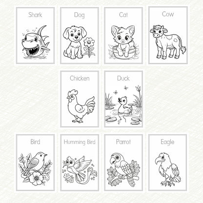 Kids Colouring Paper | 20 Animals & Birds-Themed Sheets