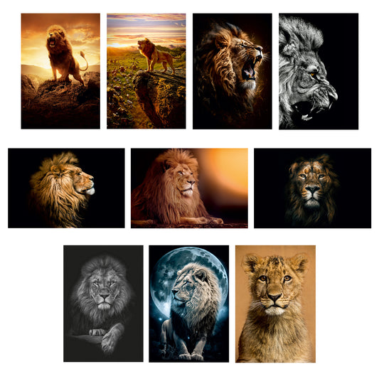Lion Wall Posters