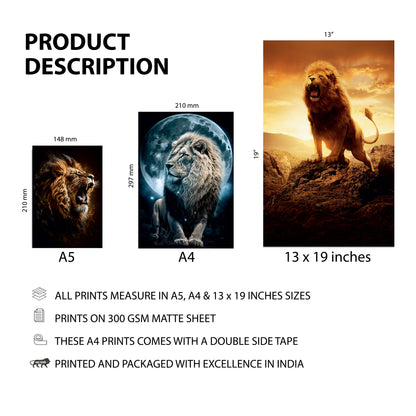 Lion Wall Posters