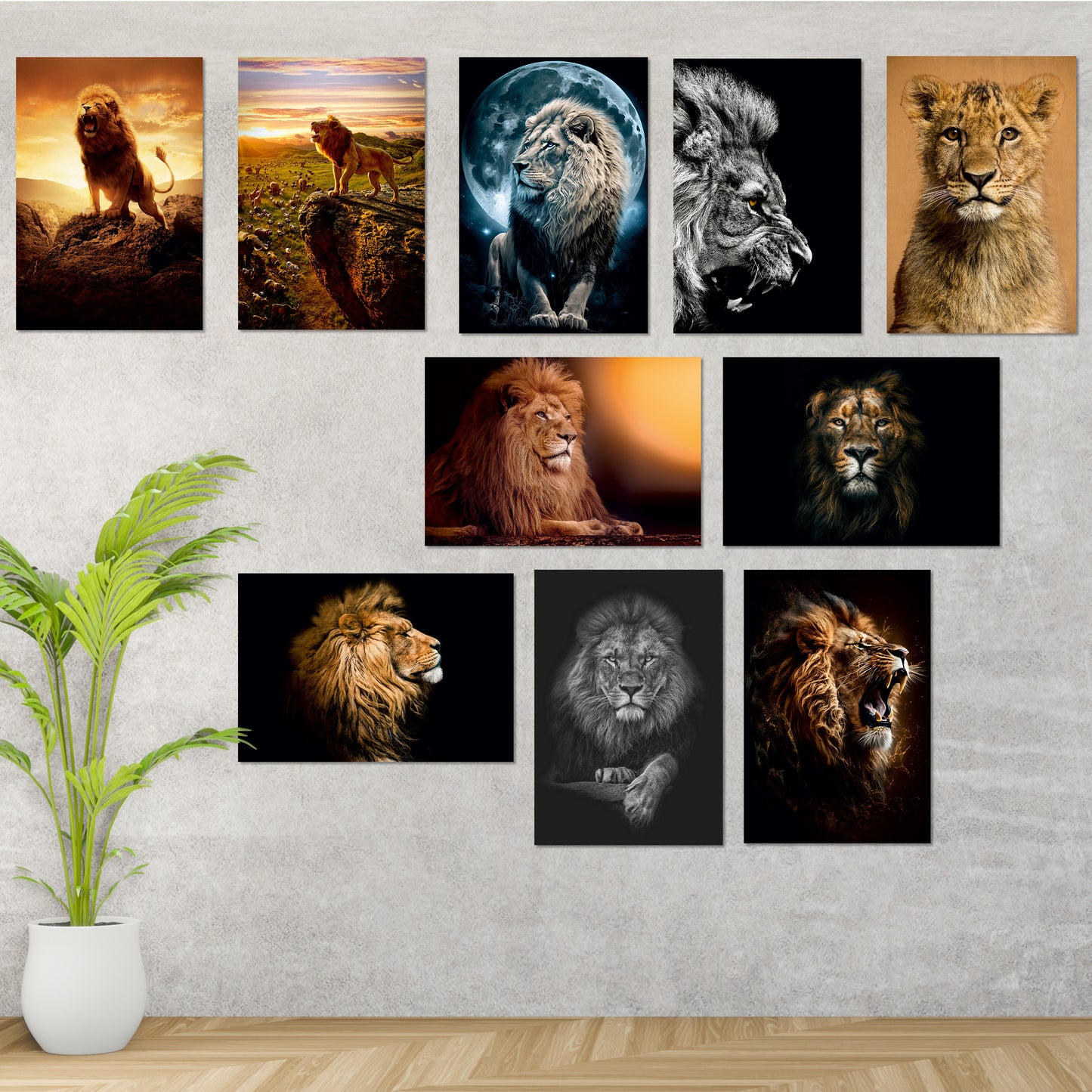 Lion Wall Posters